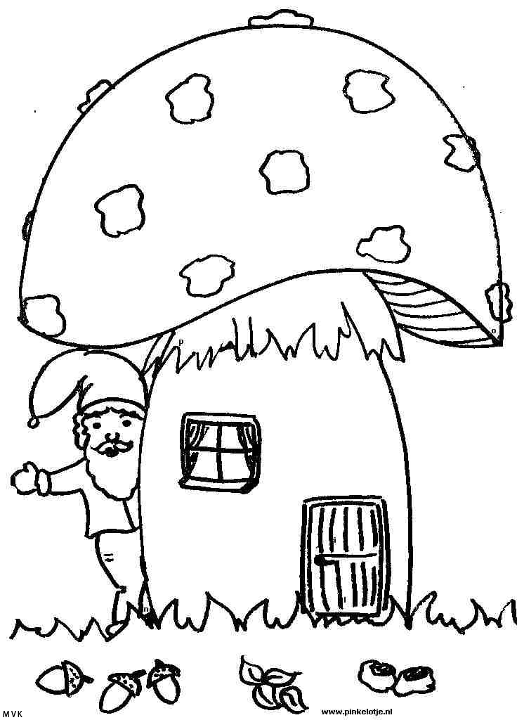 gnomes018